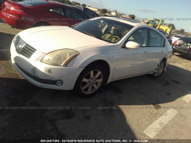 1N4BA41E84C908617 - 2004 NISSAN MAXIMA SE/SL WHITE photo 2