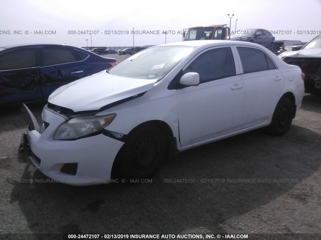 1NXBU40E79Z123294 - 2009 TOYOTA COROLLA S/LE/XLE WHITE photo 2