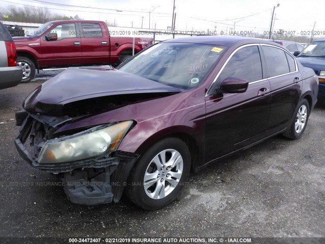 1HGCP26409A074736 - 2009 HONDA ACCORD LXP BURGUNDY photo 2