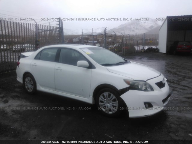 2T1BU40E79C005943 - 2009 TOYOTA COROLLA S/LE/XLE WHITE photo 1