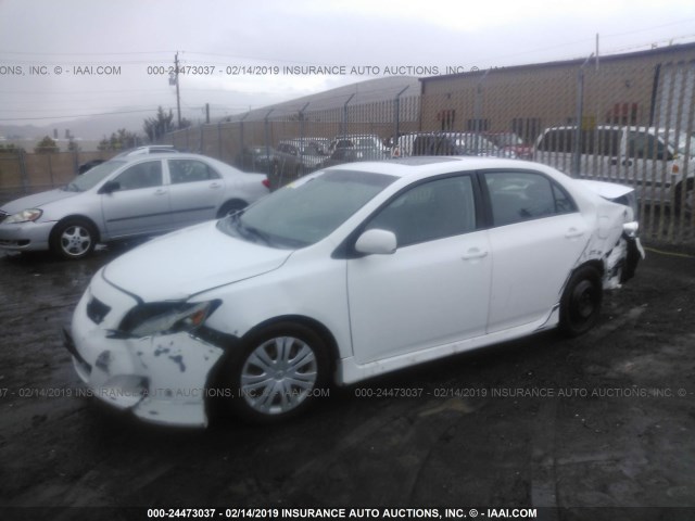 2T1BU40E79C005943 - 2009 TOYOTA COROLLA S/LE/XLE WHITE photo 2