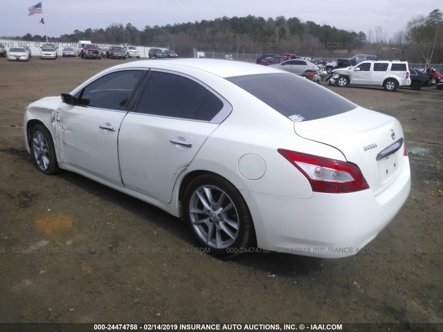 1N4AA5AP9BC813838 - 2011 NISSAN MAXIMA S/SV WHITE photo 3