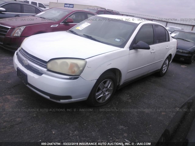 1G1ZT52894F187572 - 2004 CHEVROLET MALIBU LS WHITE photo 2
