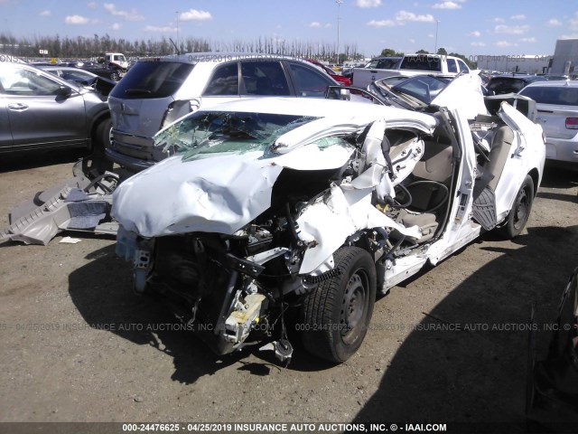 4T4BE46K89R059802 - 2009 TOYOTA CAMRY SE/LE/XLE WHITE photo 2