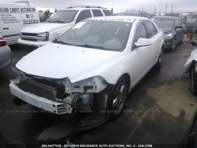 1G1ZC5EB4AF128254 - 2010 CHEVROLET MALIBU 1LT 白色 照片 2