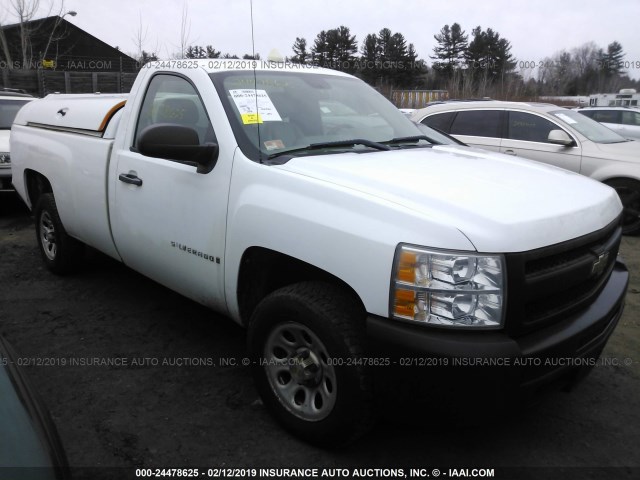 1GCEC14X49Z240123 - 2009 CHEVROLET SILVERADO C1500 WHITE photo 1