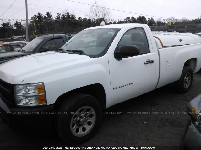 1GCEC14X49Z240123 - 2009 CHEVROLET SILVERADO C1500 WHITE photo 2