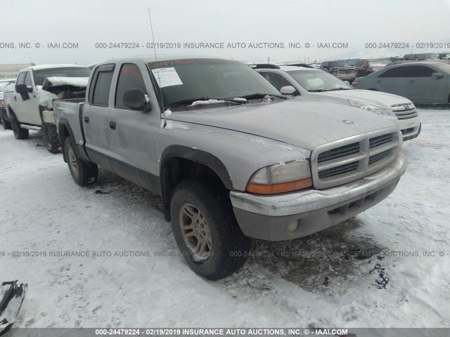 1D7HG48N14S504336 - 2004 DODGE DAKOTA QUAD SLT SILVER photo 1