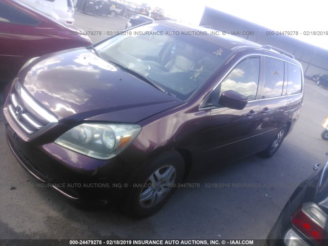 5FNRL38787B456907 - 2007 HONDA ODYSSEY EXL BURGUNDY photo 2