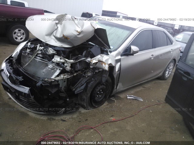 4T4BF1FK2GR560029 - 2016 TOYOTA CAMRY LE/XLE/SE/XSE თაფლისფერი ფოტო 2