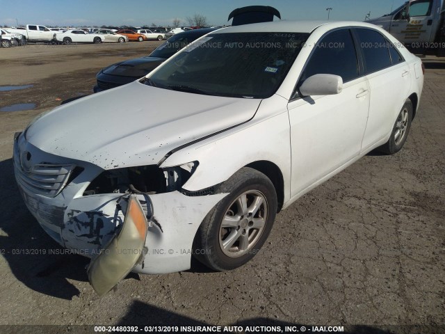 4T1BE46K17U570999 - 2007 TOYOTA CAMRY NEW GENERAT CE/LE/XLE/SE WHITE photo 2