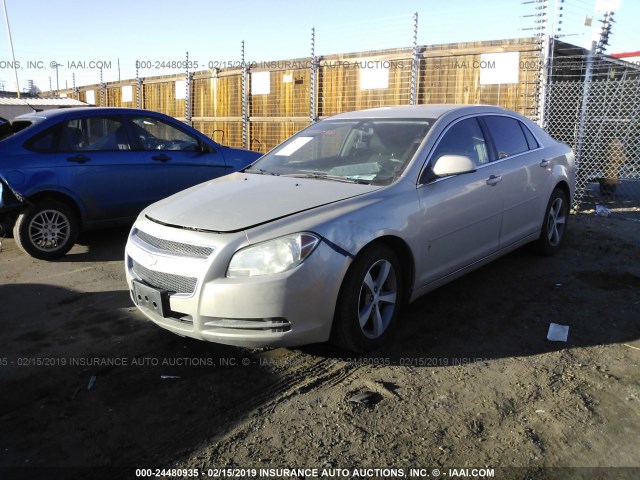 1G1ZC5E14BF374939 - 2011 CHEVROLET MALIBU 1LT თაფლისფერი ფოტო 2