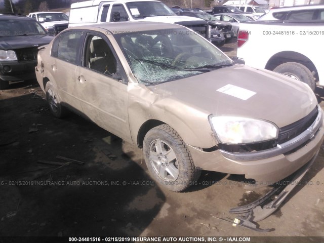 1G1ZT548X5F214888 - 2005 CHEVROLET MALIBU LS GOLD photo 6