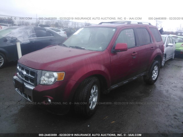 1FMCU04G49KA85477 - 2009 FORD ESCAPE LIMITED RED photo 2