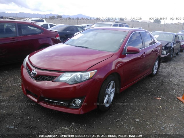4T1BF1FK1DU707785 - 2013 TOYOTA CAMRY L/SE/LE/XLE 红色 照片 2