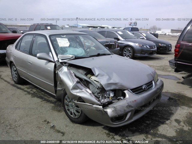 1NXBR12E61Z552184 - 2001 TOYOTA COROLLA CE/LE/S BEIGE photo 1