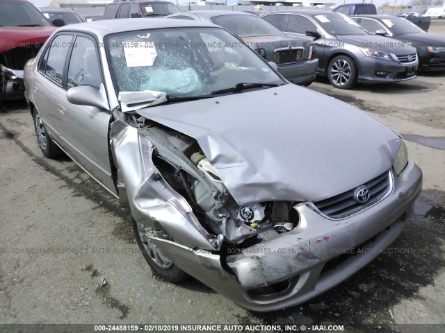 1NXBR12E61Z552184 - 2001 TOYOTA COROLLA CE/LE/S BEIGE photo 6