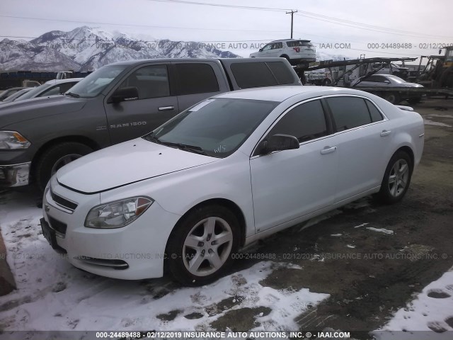 1G1ZG57B39F129523 - 2009 CHEVROLET MALIBU LS WHITE photo 2