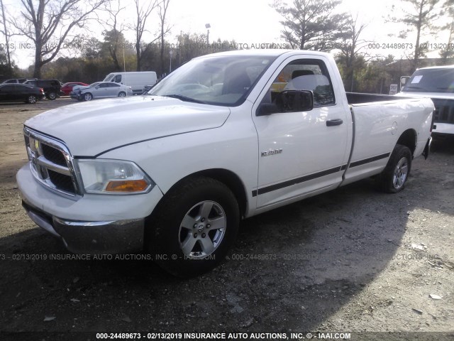 1D3HB16P49J506338 - 2009 DODGE RAM 1500 WHITE photo 2