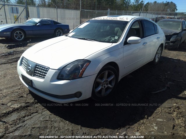 1N4BA41EX5C870079 - 2005 NISSAN MAXIMA SE/SL WHITE photo 2