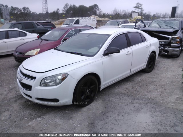1G1ZB5E17BF126798 - 2011 CHEVROLET MALIBU LS თეთრი ფოტო 2