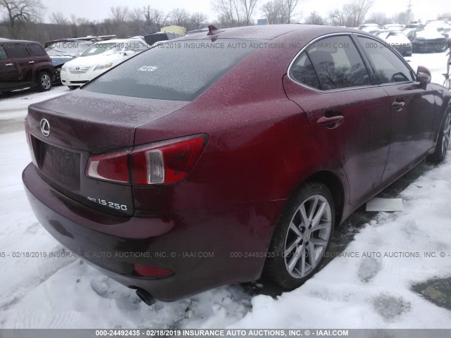 JTHCF5C25D5062751 - 2013 LEXUS IS 250 RED photo 4