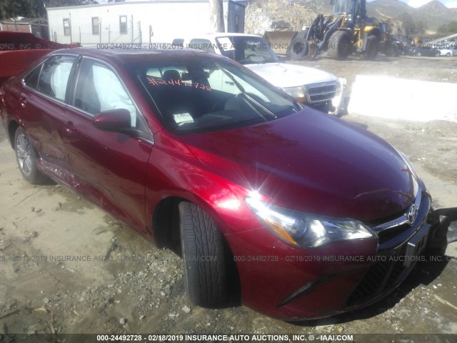 4T1BF1FK2HU698200 - 2017 TOYOTA CAMRY LE/XLE/SE/XSE RED photo 1