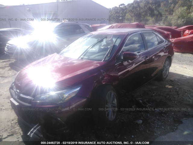 4T1BF1FK2HU698200 - 2017 TOYOTA CAMRY LE/XLE/SE/XSE RED photo 2