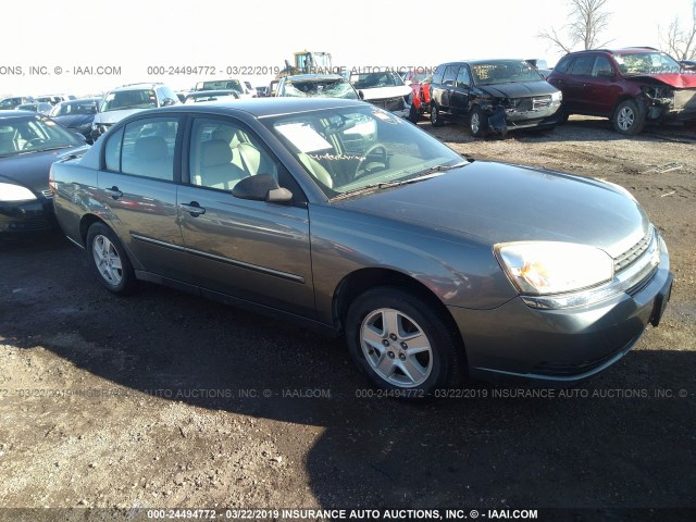 1G1ZT548X5F276940 - 2005 CHEVROLET MALIBU LS GRAY photo 1
