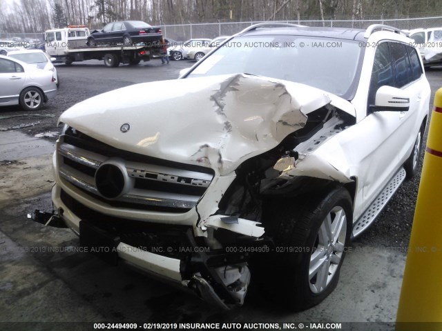 4JGDF6EE9FA477211 - 2015 MERCEDES-BENZ GL 450 4MATIC WHITE photo 2