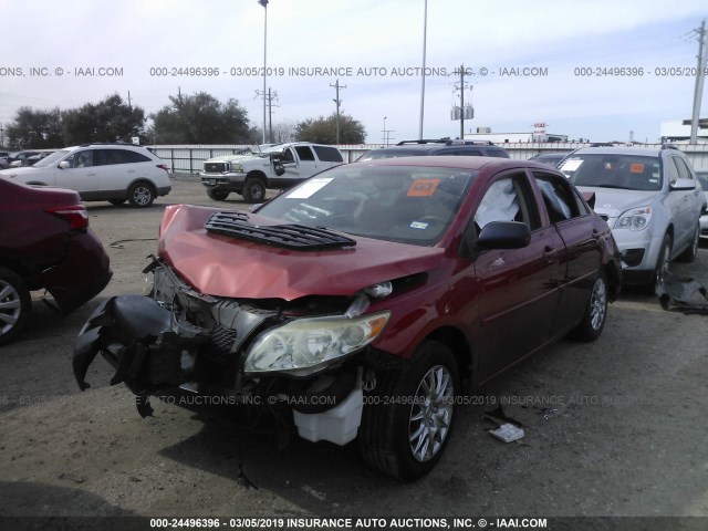 JTDBL40E599044457 - 2009 TOYOTA COROLLA LE/XLE RED photo 2