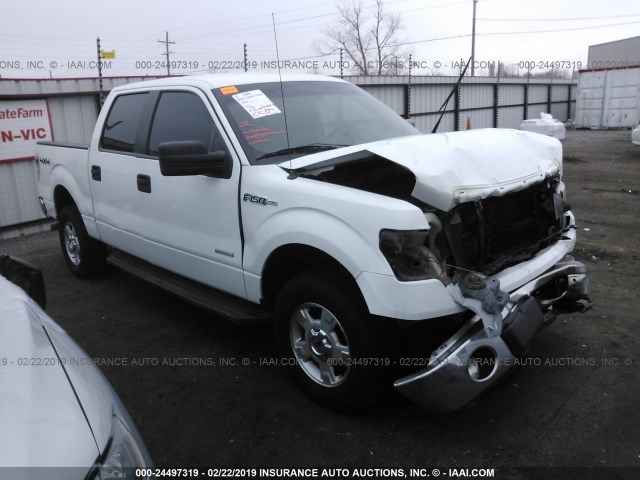 1FTFW1ET1DKE18594 - 2013 FORD F150 SUPERCREW WHITE photo 1