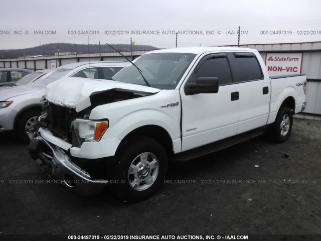 1FTFW1ET1DKE18594 - 2013 FORD F150 SUPERCREW WHITE photo 2