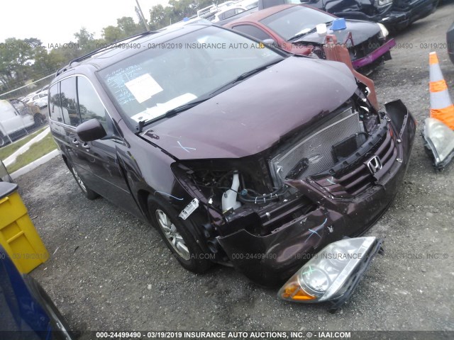 5FNRL3H60AB064471 - 2010 HONDA ODYSSEY EXL MAROON photo 1