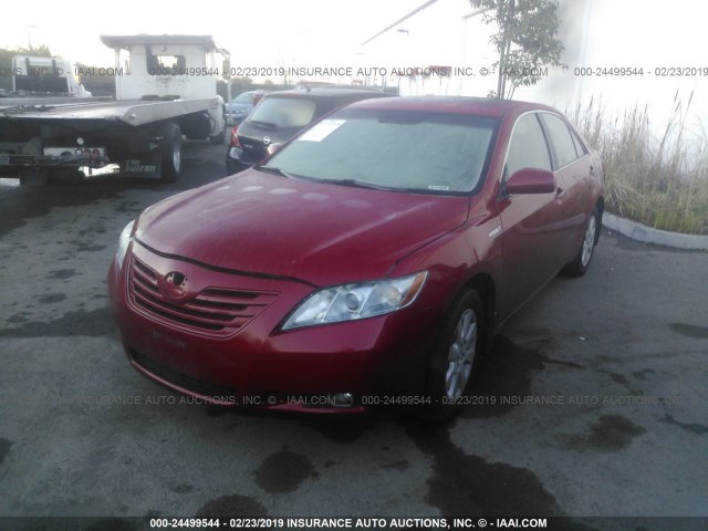 4T1BB46K97U017610 - 2007 TOYOTA CAMRY NEW GENERATION HYBRID RED photo 2