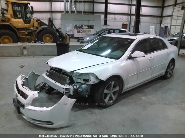 1G1ZC5EUXBF389925 - 2011 CHEVROLET MALIBU 1LT 白色 照片 2