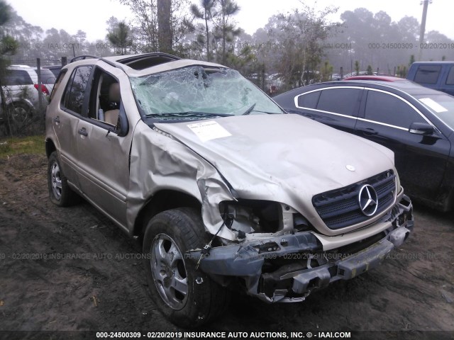 4JGAB54E52A351089 - 2002 MERCEDES-BENZ ML 320 GOLD photo 1