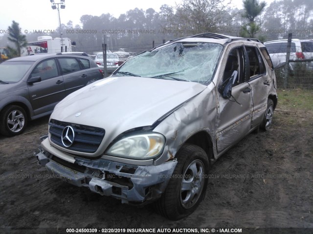 4JGAB54E52A351089 - 2002 MERCEDES-BENZ ML 320 GOLD photo 2