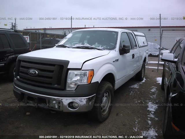 1FTFX1EV0AKE59826 - 2010 FORD F150 SUPER CAB WHITE photo 2