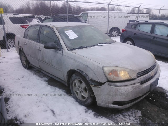 1G1ZT52864F123991 - 2004 CHEVROLET MALIBU LS SILVER photo 1