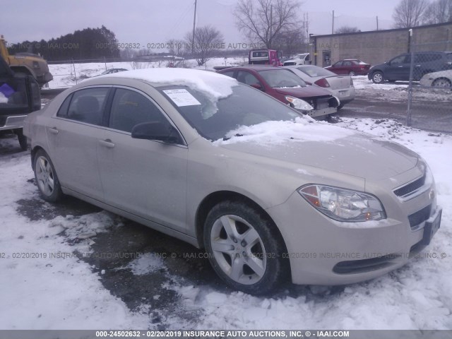 1G1ZB5E03CF300620 - 2012 CHEVROLET MALIBU LS GOLD photo 1