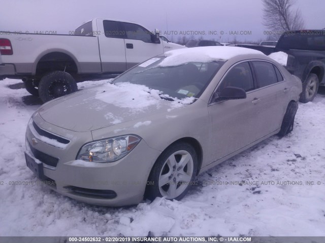 1G1ZB5E03CF300620 - 2012 CHEVROLET MALIBU LS GOLD photo 2