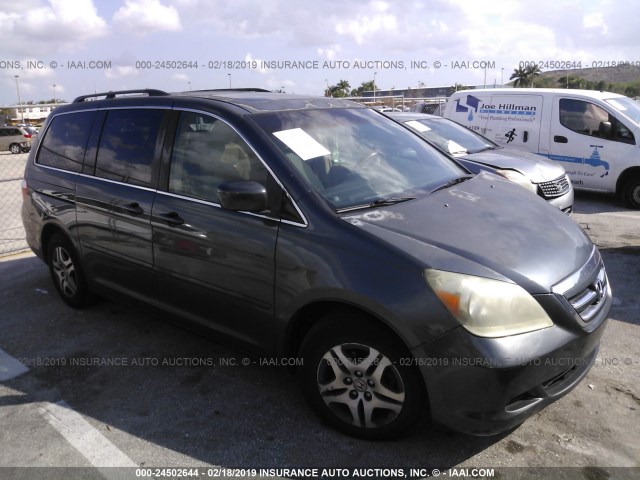 5FNRL38625B036029 - 2005 HONDA ODYSSEY EXL GRAY photo 1