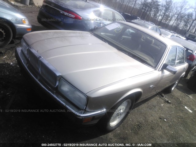 SAJHX1743RC705708 - 1994 JAGUAR XJ6 BEIGE photo 2