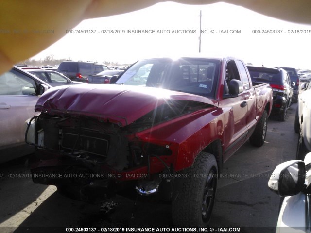 1D7HE42N86S501239 - 2006 DODGE DAKOTA SLT RED photo 2