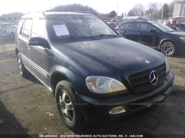 4JGAB57E83A414344 - 2003 MERCEDES-BENZ ML 350 Dark Blue photo 1