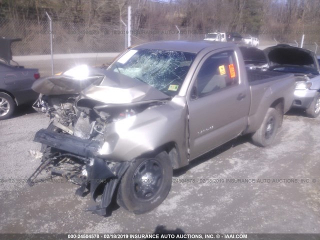 5TENX22N98Z568460 - 2008 TOYOTA TACOMA GOLD photo 2