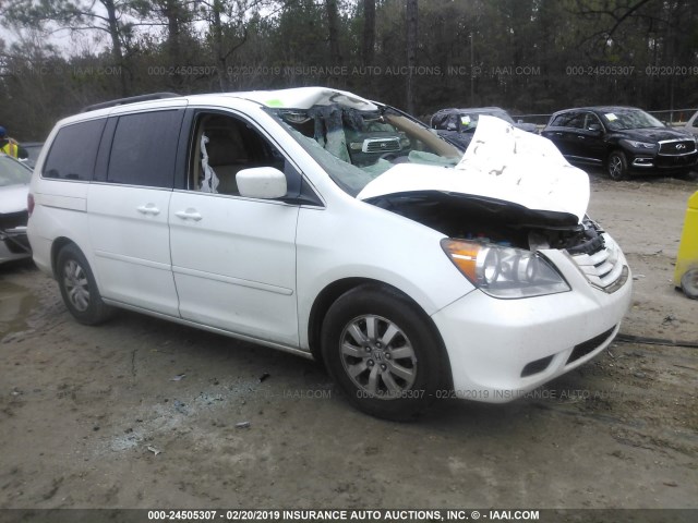 5FNRL38639B017429 - 2009 HONDA ODYSSEY EXL WHITE photo 1