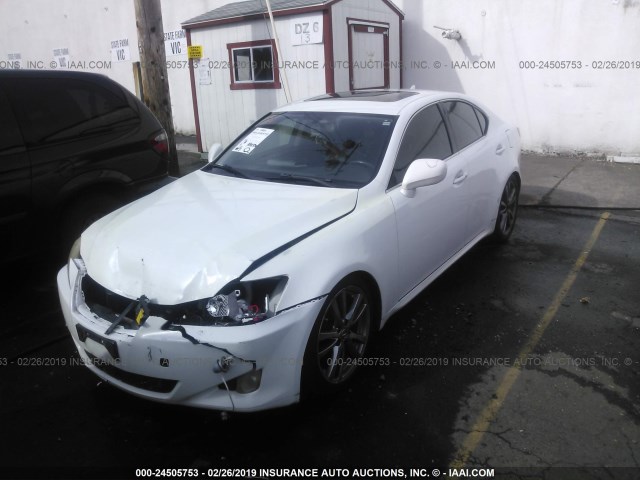 JTHBK262685064645 - 2008 LEXUS IS 250 WHITE photo 2