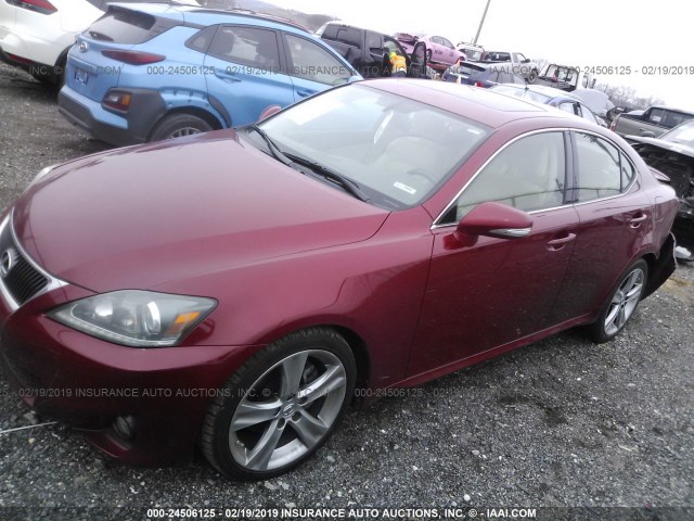 JTHBF5C28C5166225 - 2012 LEXUS IS 250 RED photo 2